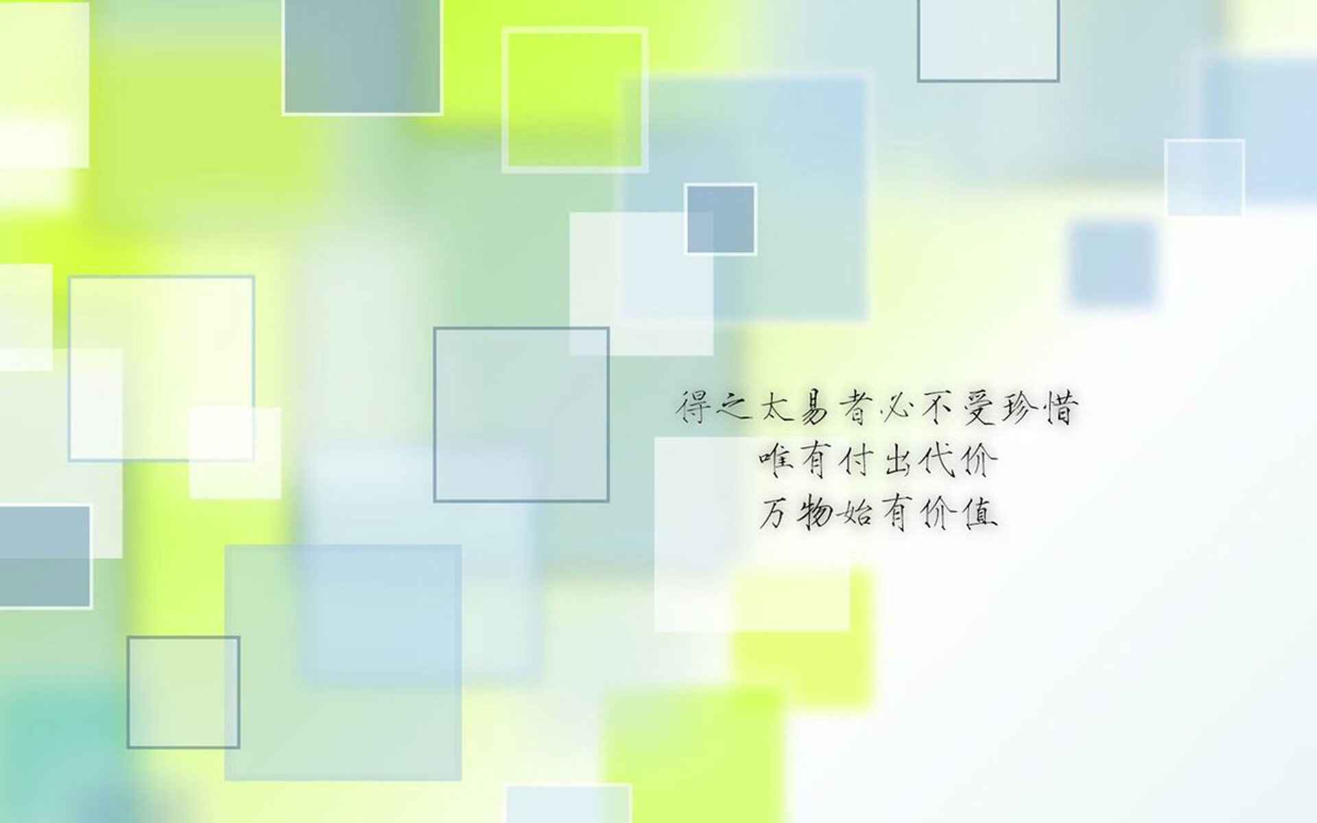 开云中国-世界风筝节体育竞技，空中飞翔的艺术之美，世界风筝比赛