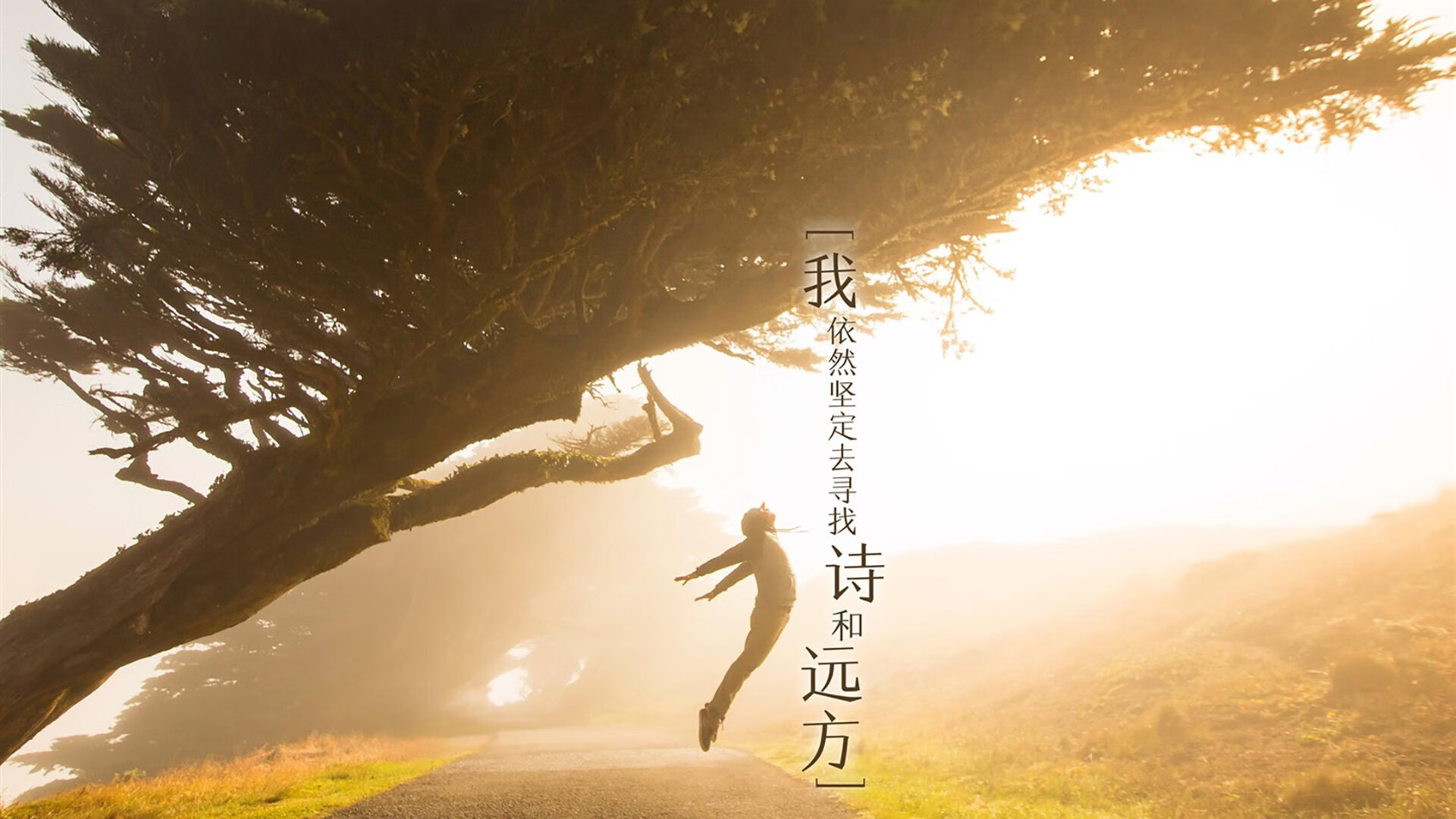 开云官方网站-篮球世界杯精彩绝伦对决吸引众多观众，篮球世界杯 足球世界杯