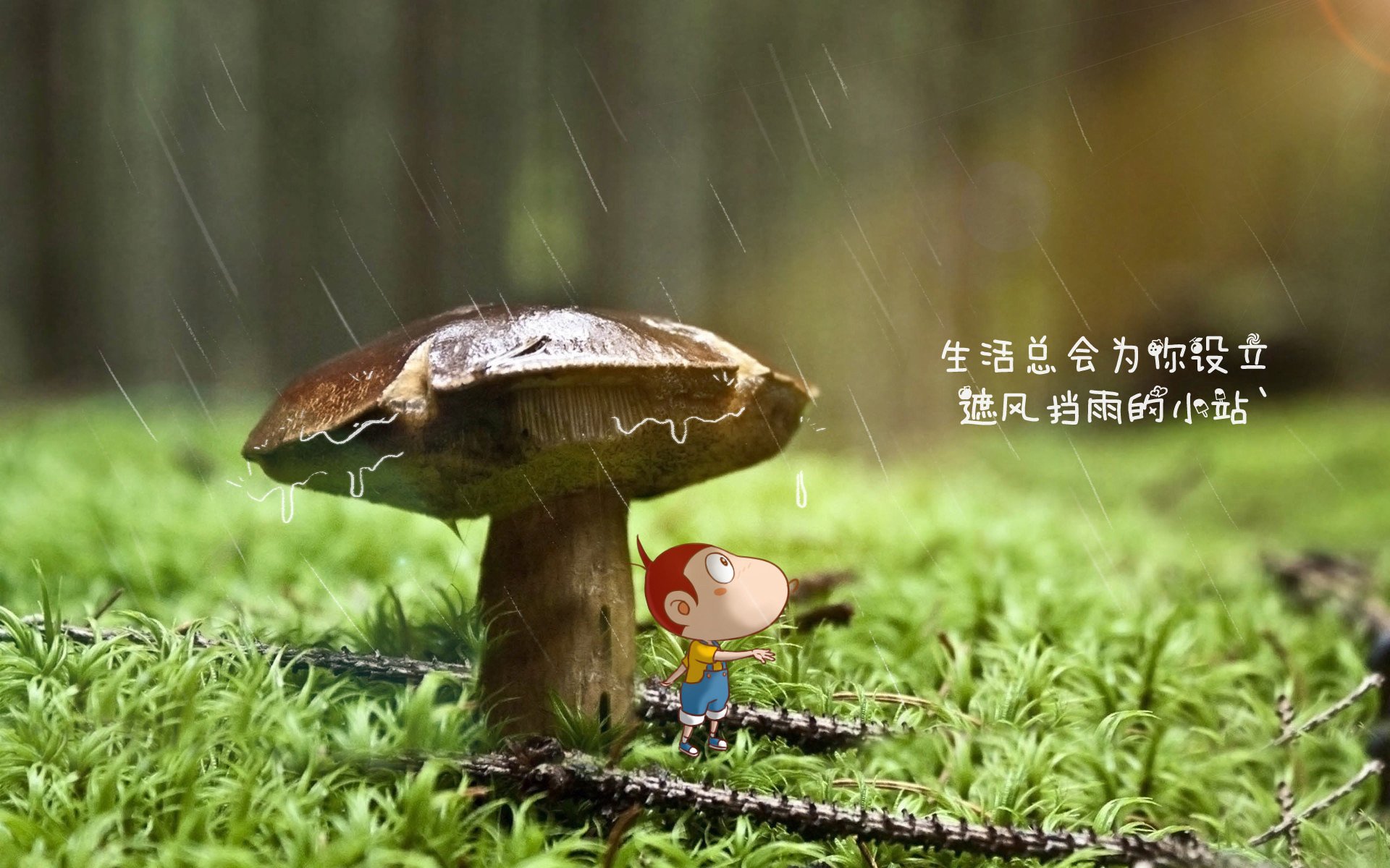 开云官网-阿贾克斯球员达利因伤缺席接下来几场比赛，阿贾克斯达达利亚