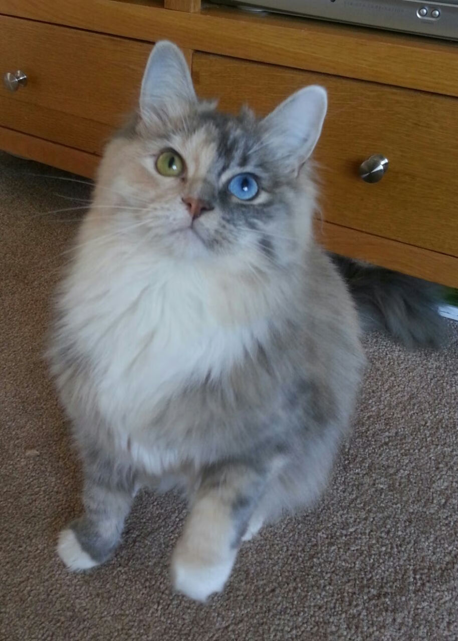 篮球运动员训练营管理体系设计与运营模式,篮球训练营的运营与管理