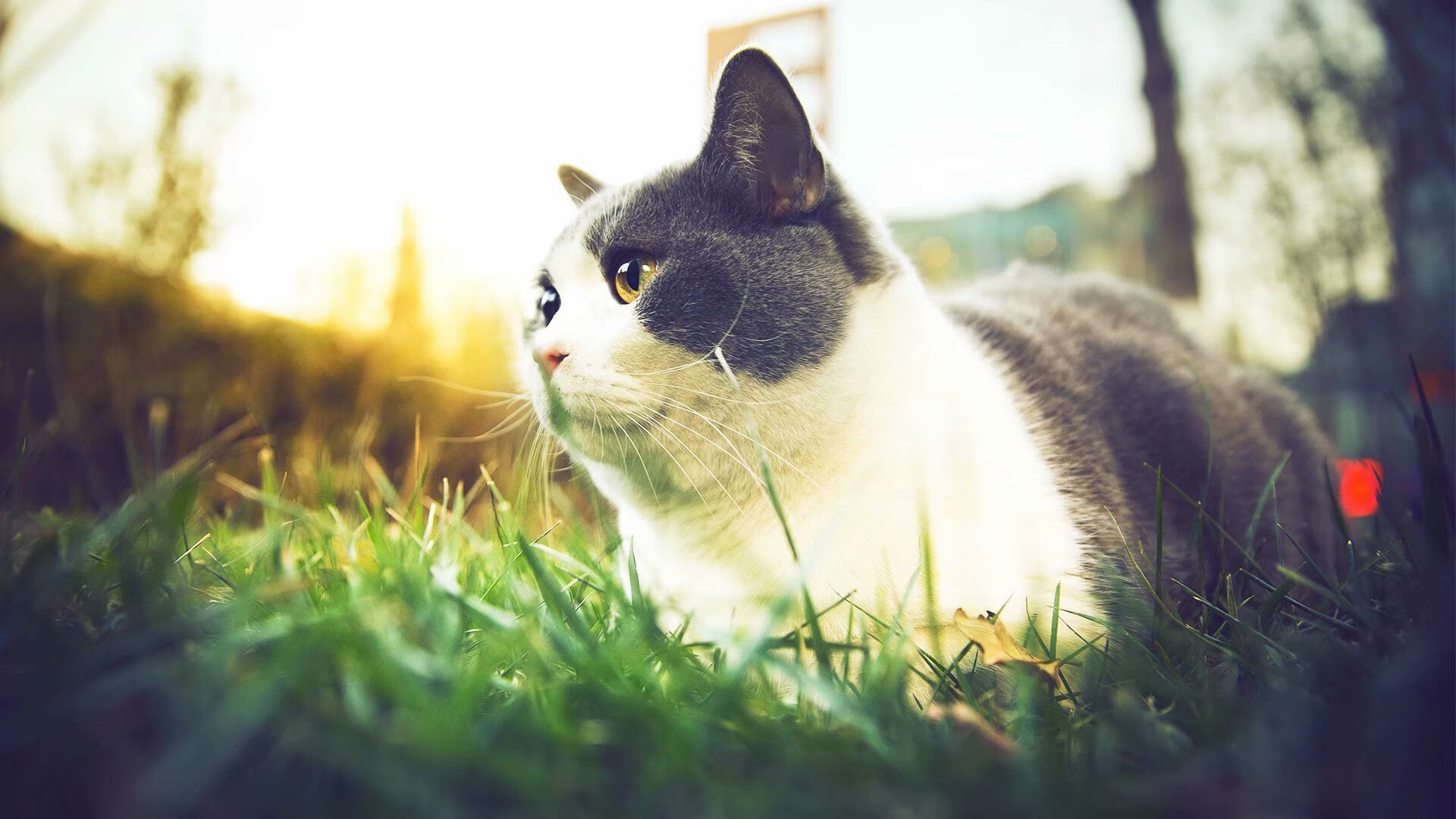 掘金主力中锋隔离后归队苦练，掘金主力后卫