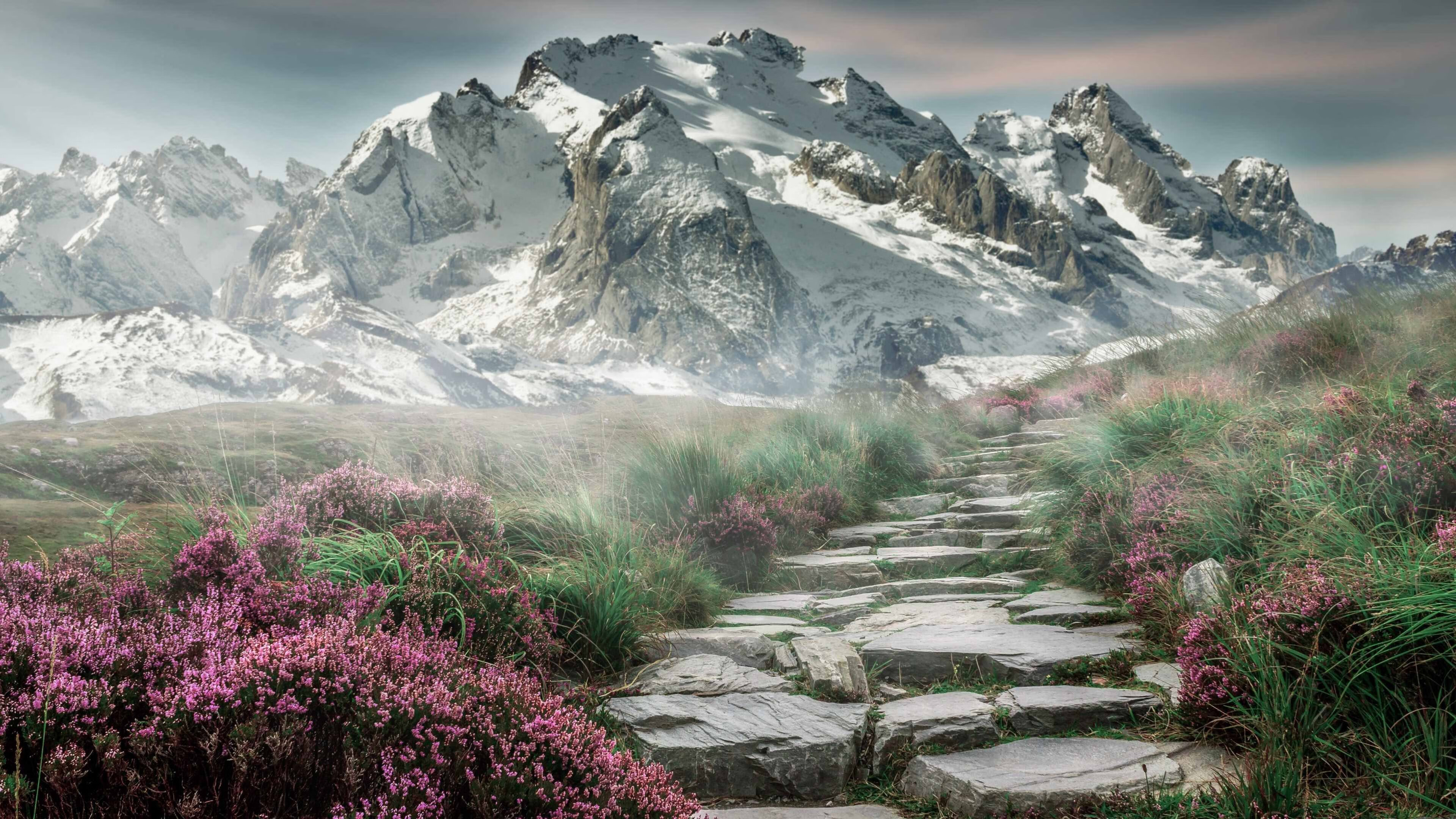 独行侠官方推出新周边产品吸引年轻粉丝,独行侠官方商城