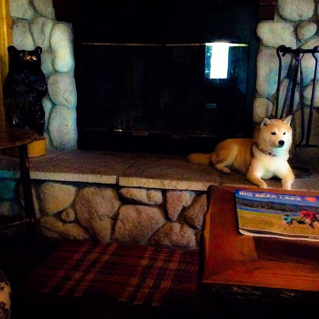 范奥特尔戴克赛后：已拼尽全力，范戴克集锦